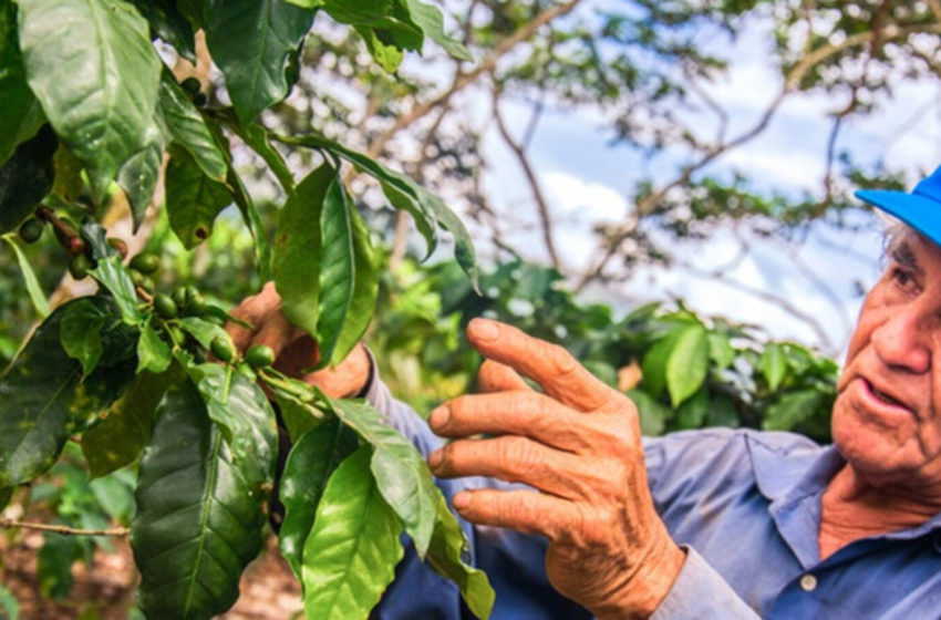  ¡ATENCIÓN MICROEMPRESAS, ASOCIACIONES PRODUCTIVAS Y COOPERATIVAS! PRODUCE LANZA CONCURSOS PARA COFINANCIAR PROYECTOS INNOVADORES Y SOSTENIBLES